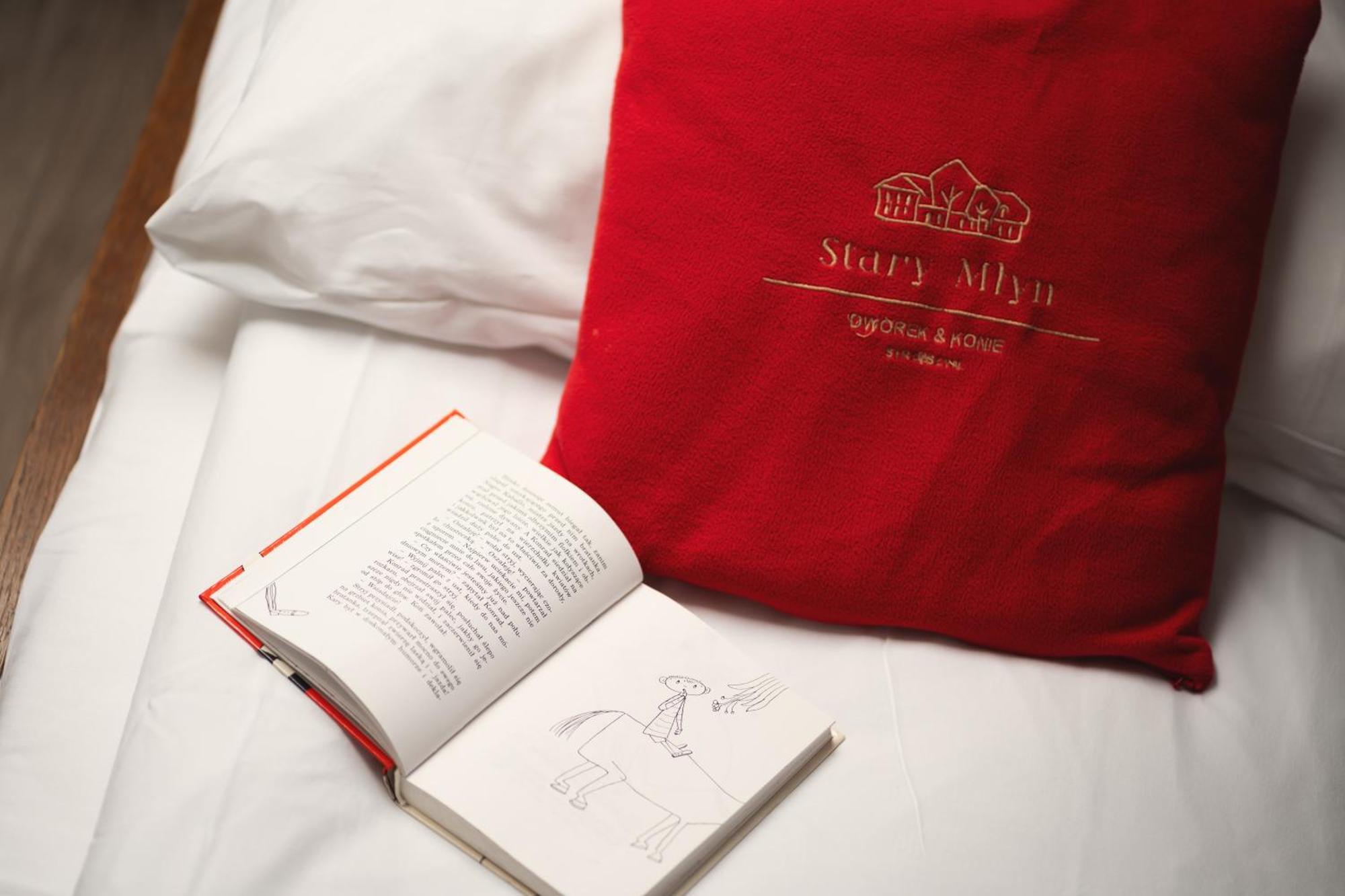 Stary Mlyn Strzeszyn Otel Lubowo  Dış mekan fotoğraf
