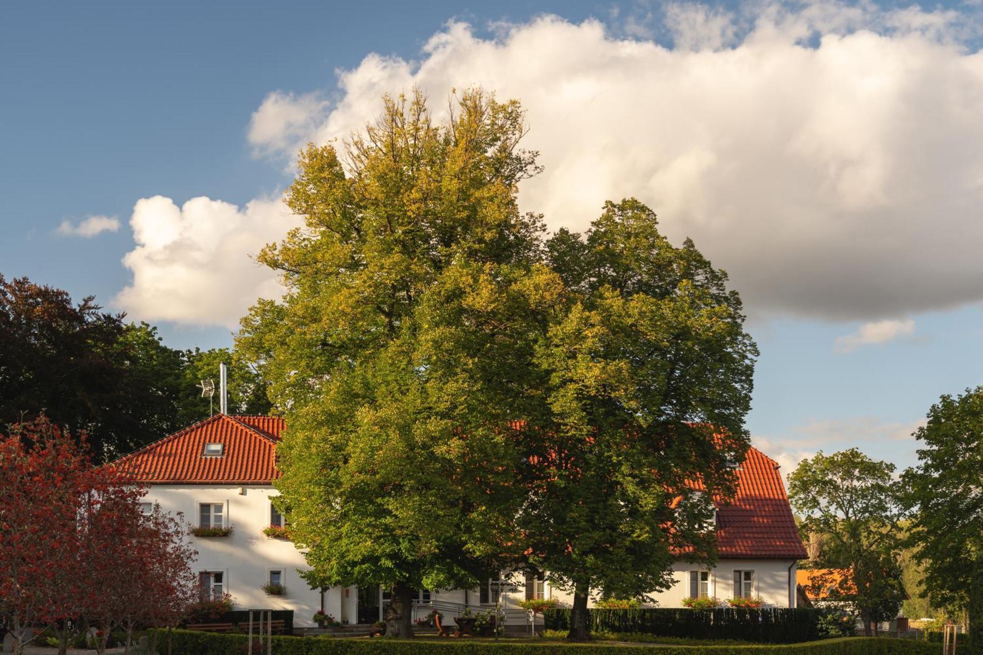Stary Mlyn Strzeszyn Otel Lubowo  Dış mekan fotoğraf